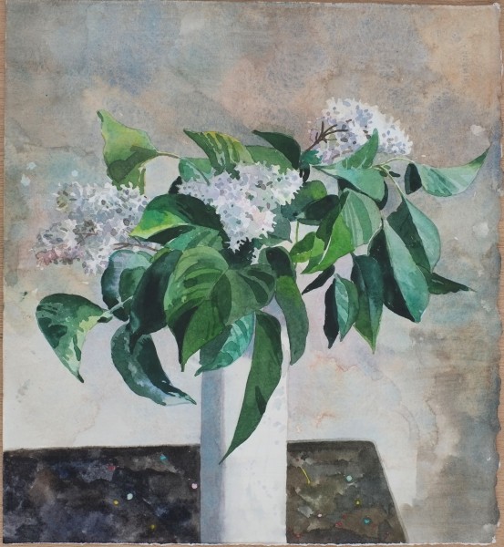 Mark Entwisle, Lilacs
