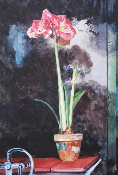 Mark Entwisle Amaryllis watercolour Framed Artwork: 51 x 34cm Frame: 63 x 46cm