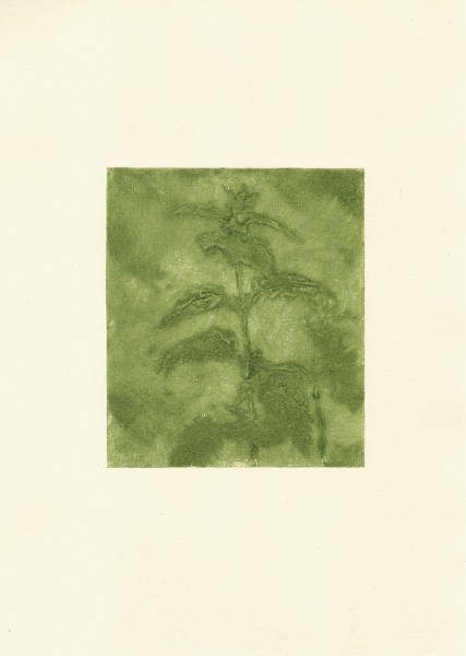 Greg Becker, Nettles