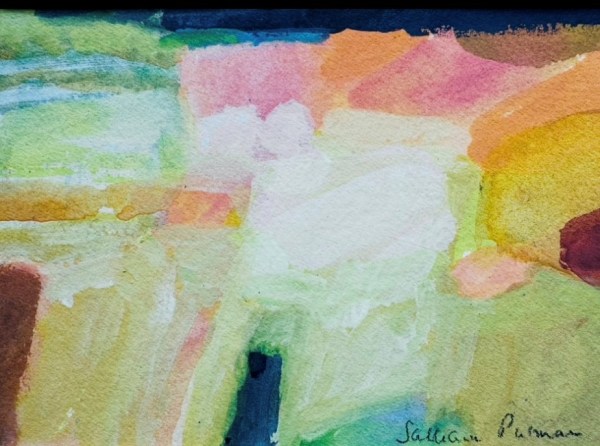Salliann Putman, White Field