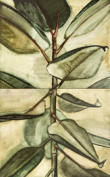 Noah Carter Ficus Robusta Elastica watercolour on aquabord Frame: 43.5 x 28cm Artwork: 40.5 x 25cm