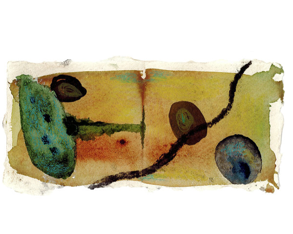 Miao Tan, Collision