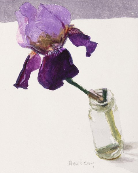 John Newberry Iris watercolour Framed Artwork: 20.5 x 16cm Frame: 38 x 43cm