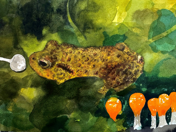 David Rees Davies, The Toad and the Ditchling Lovespoon