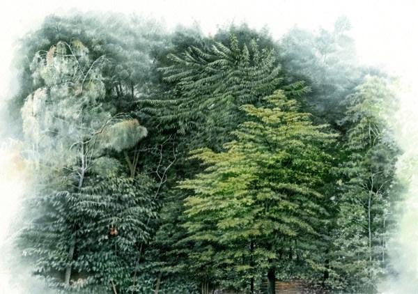 Liz Butler, The View from my Studio, Summer.