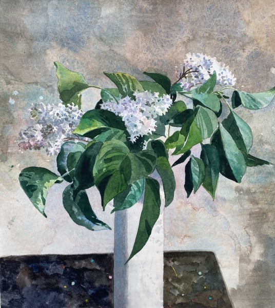 Mark Entwisle Lilacs watercolour Framed Artwork: 32 x 29cm Frame: 50 x 47cm