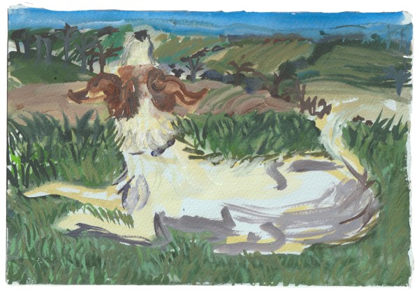 Alice MacDonald, Looking Up