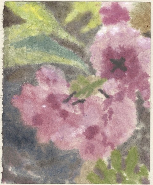 Ned Elliott Cherry Blossom watercolour & gouache on japanese paper Unframed and unmounted Artwork: 14 x 18cm
