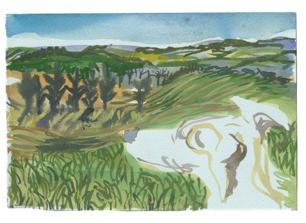 Alice MacDonald, Walking on the Downs