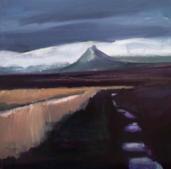 Fred Ingrams, Maiden Pap, Caithness, 2020
