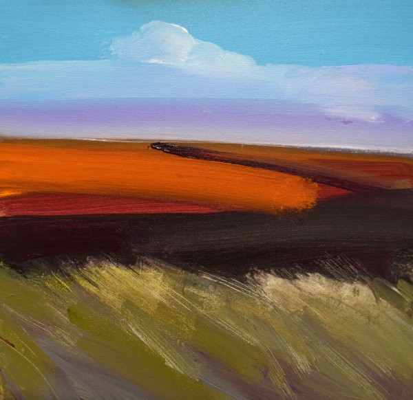 Fred Ingrams, Windy, Evening, Camster, Caithness, 2020
