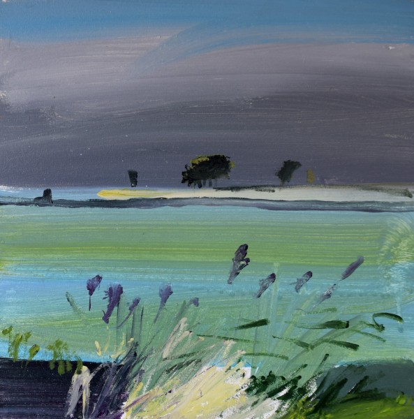 Fred Ingrams, Leeks, Bourne Farm 2019