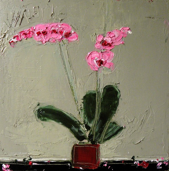 Alison McWhirter, Pink Orchid, 2019