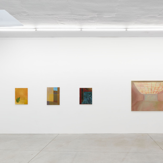 Agnes Maes Spaces And Landscapes 2022 Installation View 008 Kristof De Clercq Gallery We Document Art