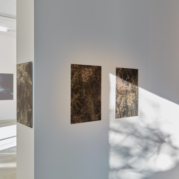 L Onard Pongo Primordial Earth Interpretations 2022 Installation View 23 Kristof De Clercq Gallery We Document Art