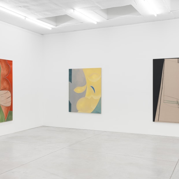 Aur Lie Gravas Faces 2023 24 Installation View 02 Kristof De Clercq Gallery Shivadas De Schrijver