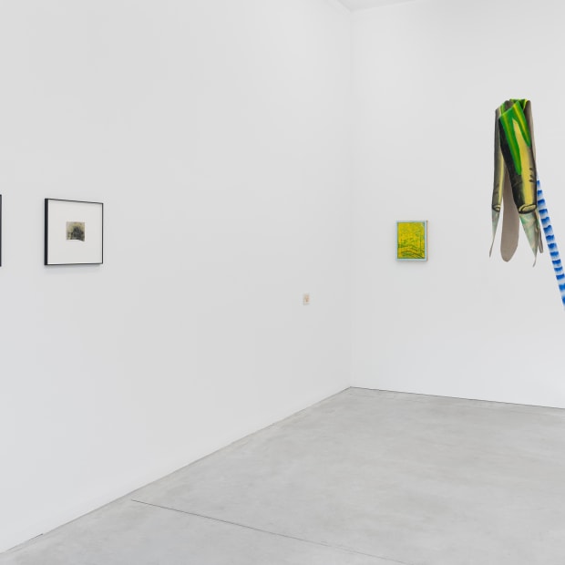 Dream The Dream That Dreamers Dream 2024 Installation View 13 Kristof De Clercq Gallery Shivadas De Schrijver