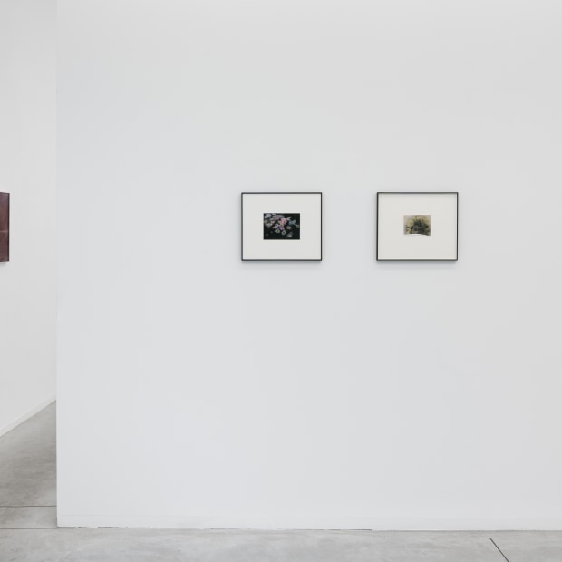 Dream The Dream That Dreamers Dream 2024 Installation View 16 Kristof De Clercq Gallery Shivadas De Schrijver