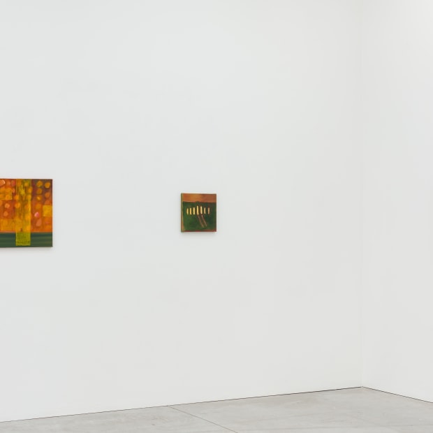 Agnes Maes Luscious Light 2024 Installation View 07 Kristof De Clercq Gallery Shivadas De Schrijver