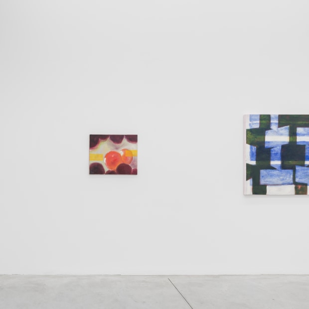 Agnes Maes Luscious Light 2024 Installation View 15 Kristof De Clercq Gallery Shivadas De Schrijver