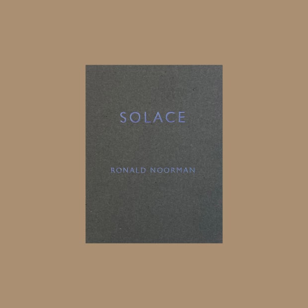 Ronald Noorman, Solace