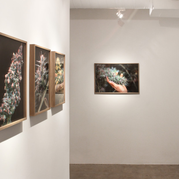 Mel Frank When We Were Criminals Install 14