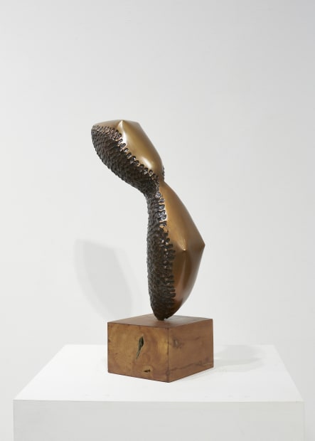 UM Tai-Jung, Ridge No. 5 "Ascension", 1979