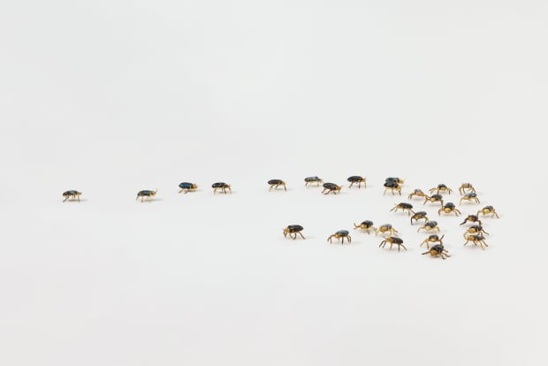 Elizabeth Jaeger’s 'Beetles' (2024) is an immersive installation comprising hundreds of handmade beetles crafted from brass and ceramic. Each beetle...