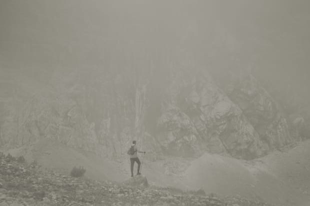 ROOTED IN ART HISTORY