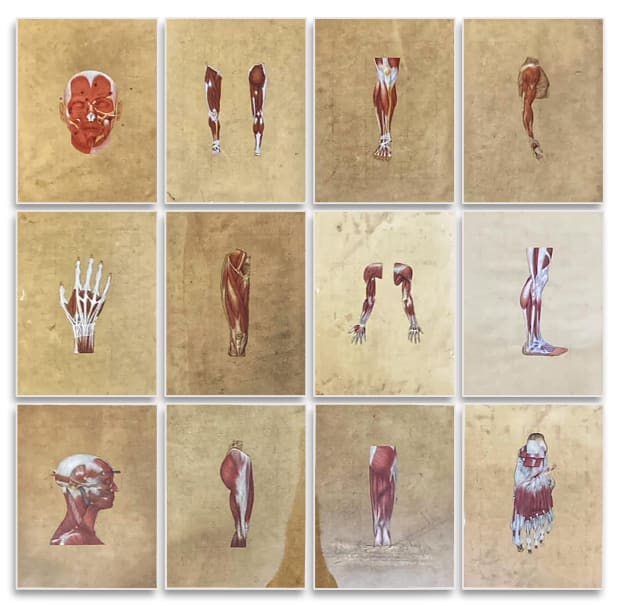 Maryam Ayeen and Abbas Shahsavar, Do You Feel The Pain?, 2023