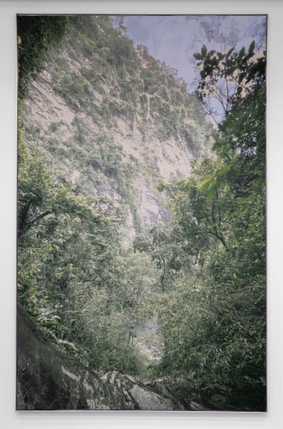David Hartt, The Histories (after Cazabon), 2021