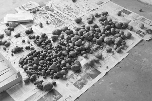 Yossi Breger, Potatoes on Newspapers, Pesch, Eifel, Germany, 2007