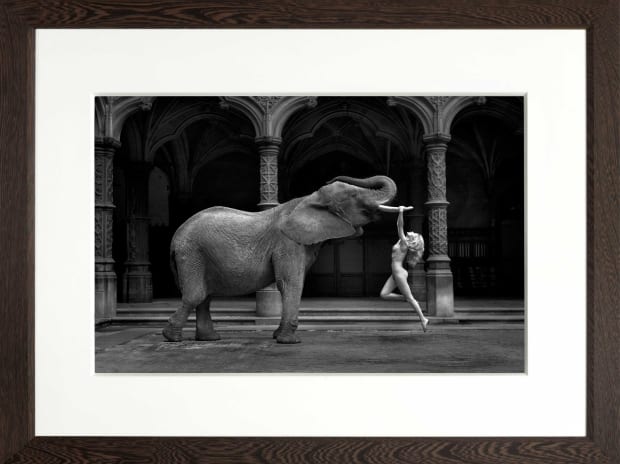 Marc Lagrange, Tusk, 2015