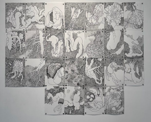 Pushpakanthan Pakkiyarajah, Diary of wounded flowers, 2024-2025