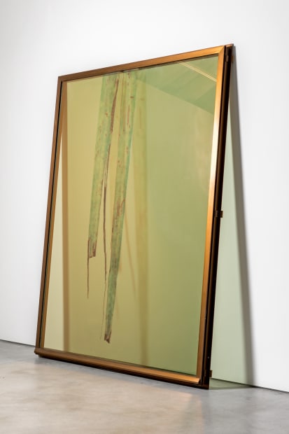 Adrien Missika, Botanical Frottage (Natacha), 2017