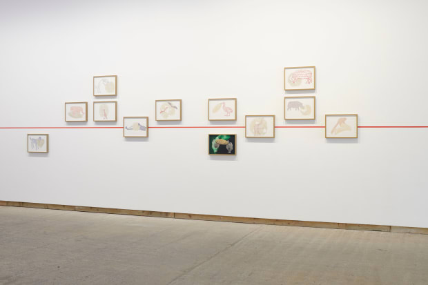 Raqs Media Collective, Bestiary, 2021