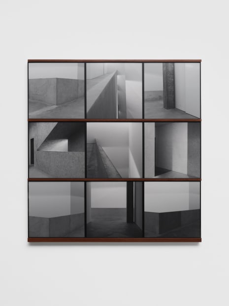 Light did not Know, 2024