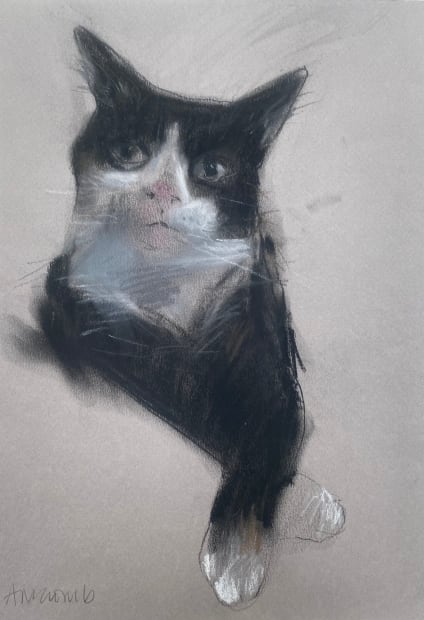 Emerging Scottish Artists Emerging artists whose work hasn't yet achieved wide recognition offer exceptional value. These are talented artists early...