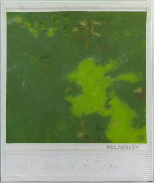 Priscilla Monge, El verde lo cubrió todo, 2021