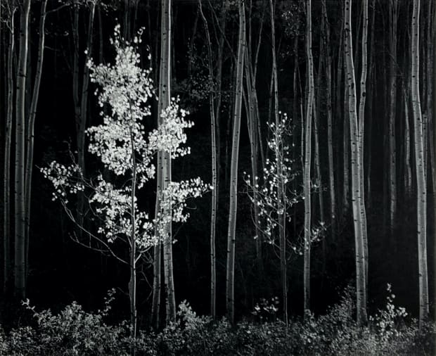 Ansel Adams (1902 - 1984), one of the most influential 20th century photographers, is best known for his black-and-white landscape...