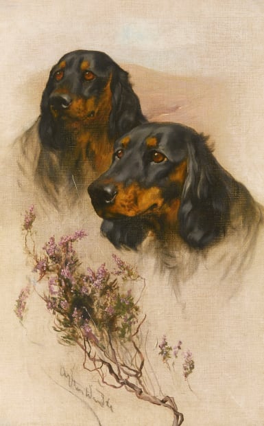 Two Spaniels