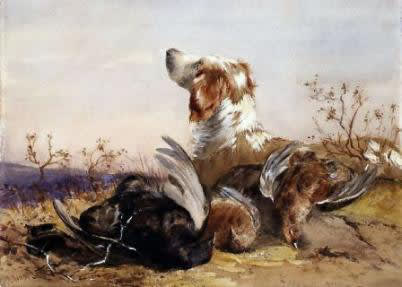A spaniel with three grouse