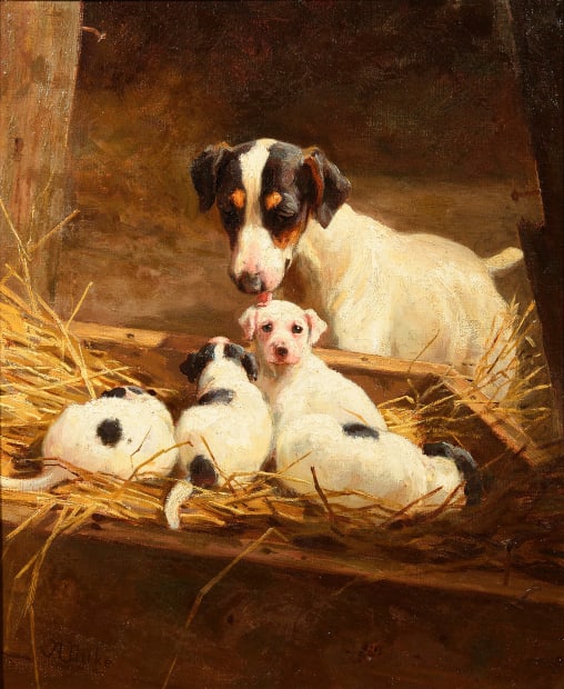 Terrier & pups