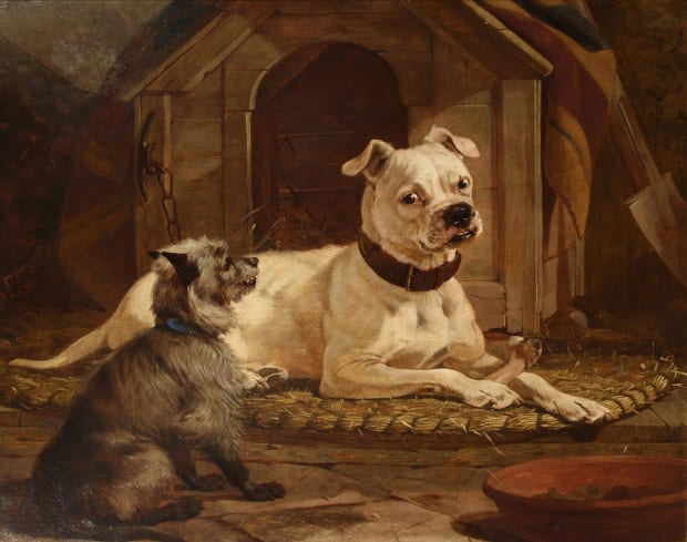American Bulldog & a Terrier