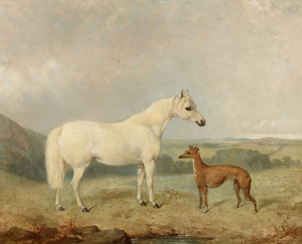 White pony & a greyhound in a landscape