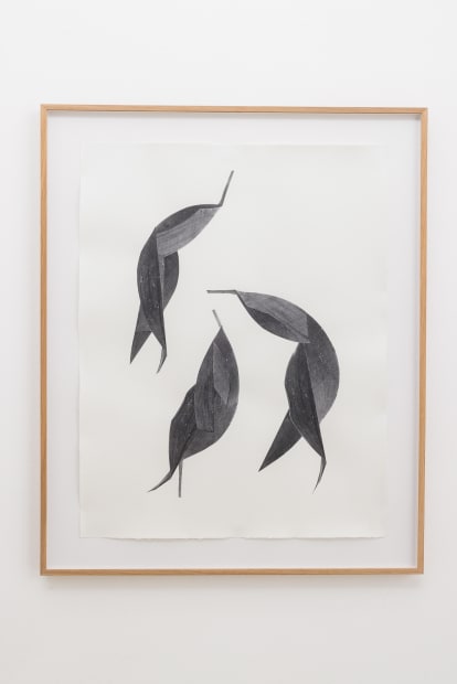 For the transfer onto various image carriers, consisting of paper, raw cotton or the bare wall, Dannert uses a graphite...