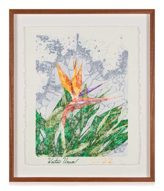 Weston Uram, Birds of Paradise, 2022