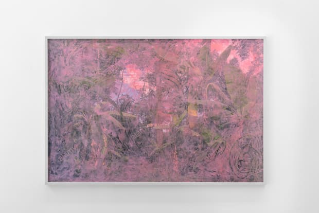 Die Werkserie Anamazon (2021) von Pamela Rosenkranz zeigt wie sich die Wahrnehmung von Naturaufnahmen und digitale Bildproduktion überlagern. Sie greift...