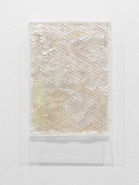 Die Werkserie Healer Scrolls (2023/2024) spiegelt die Schnittstelle von Natur und Technologie wider, indem Pamela Rosenkranz präzise konstruierte Schnitte im...