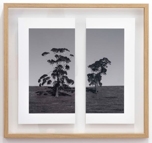 James Tylor, Tapa-arra Through the Landscape 7, 2024